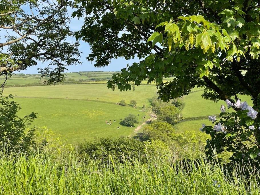 Whitebeam, Moor And Sea Holidays, Beautiful Views Over Exmoor Lynton Kültér fotó